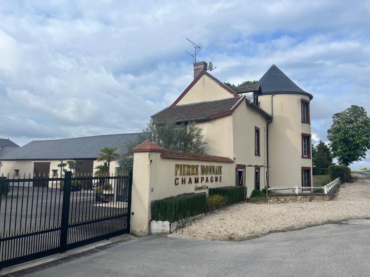 فيلا Domaine Pierre Monnaie Verzy المظهر الخارجي الصورة