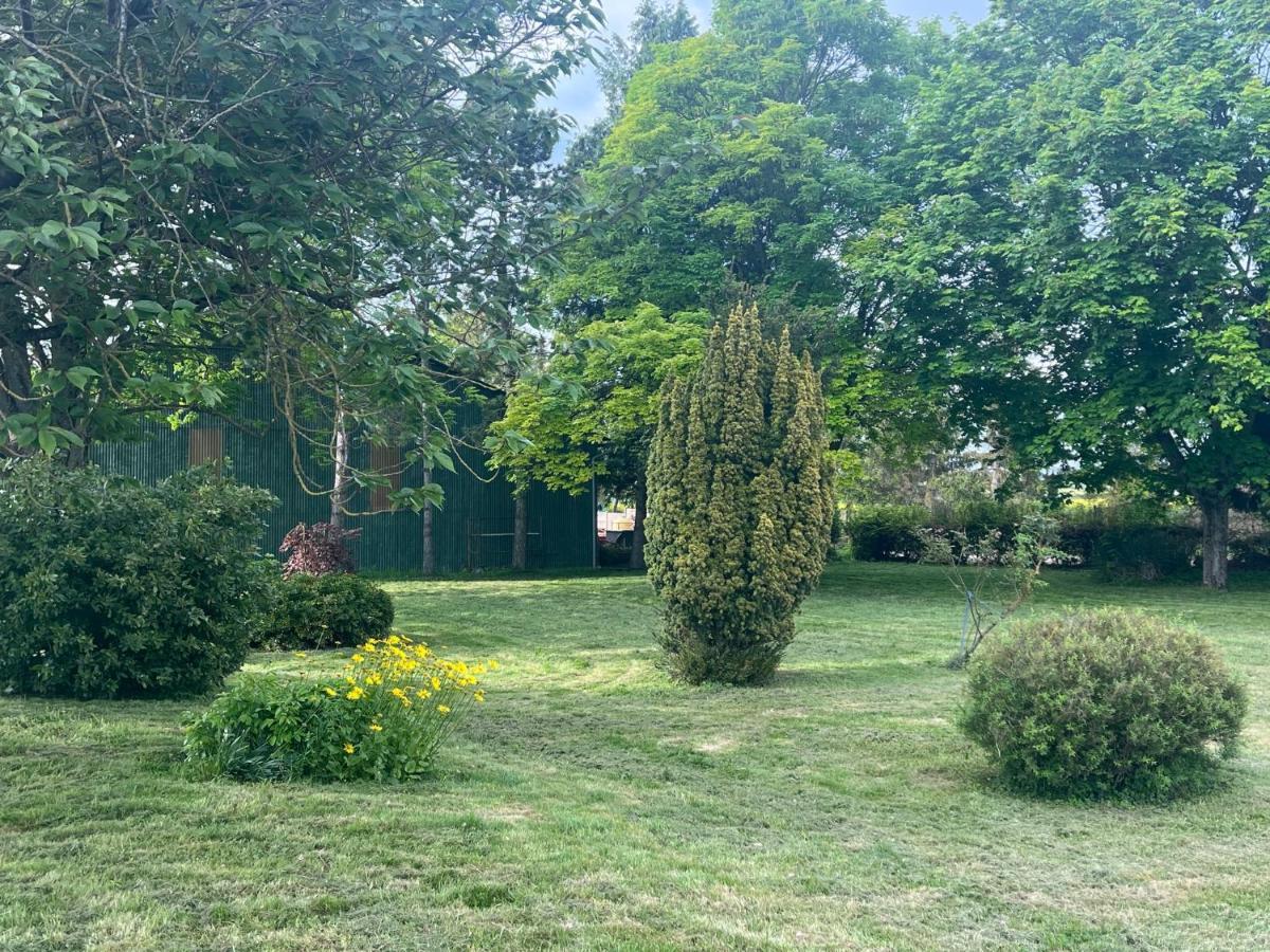 فيلا Domaine Pierre Monnaie Verzy المظهر الخارجي الصورة